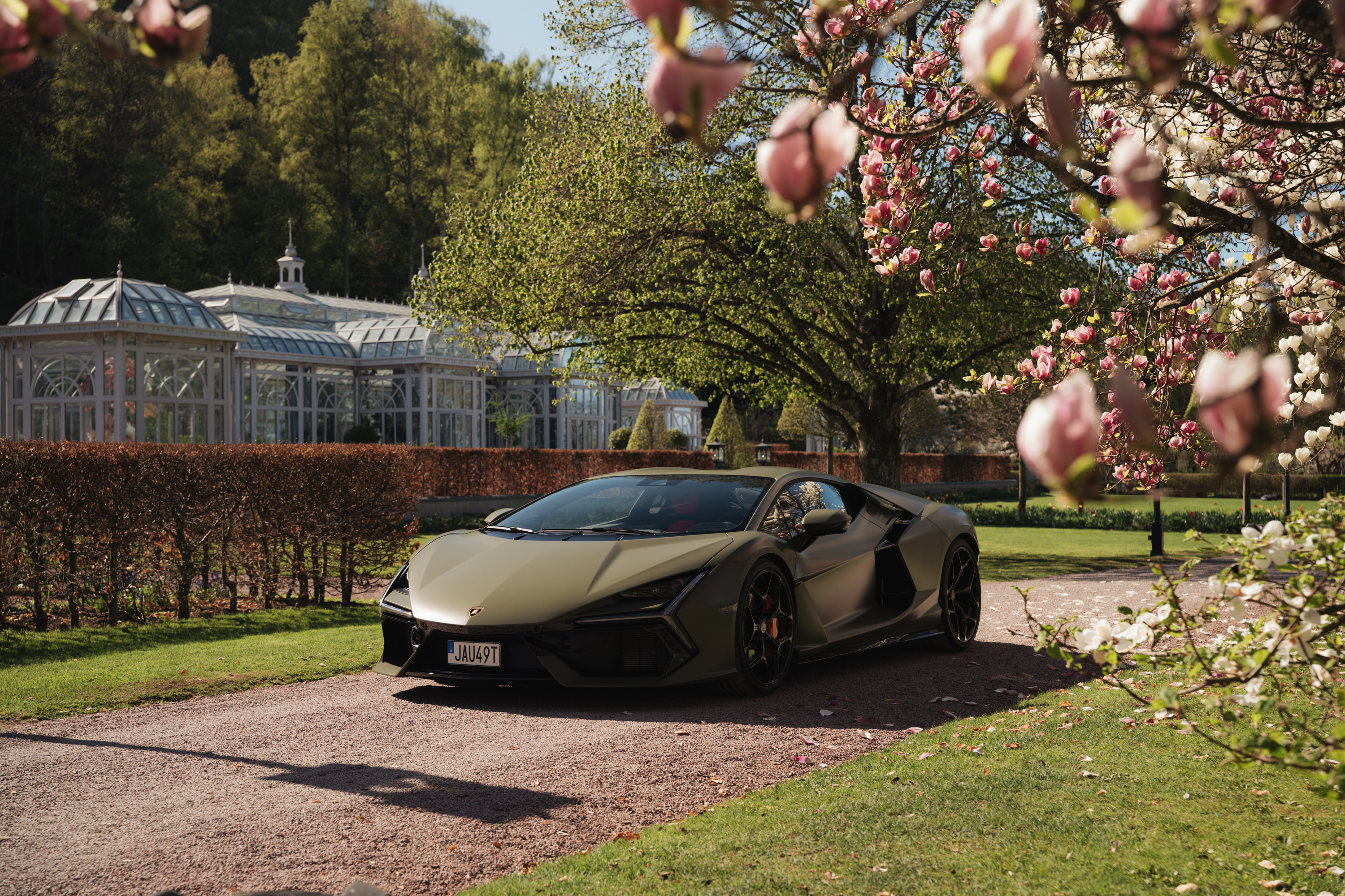 Gallery image 6 of 6