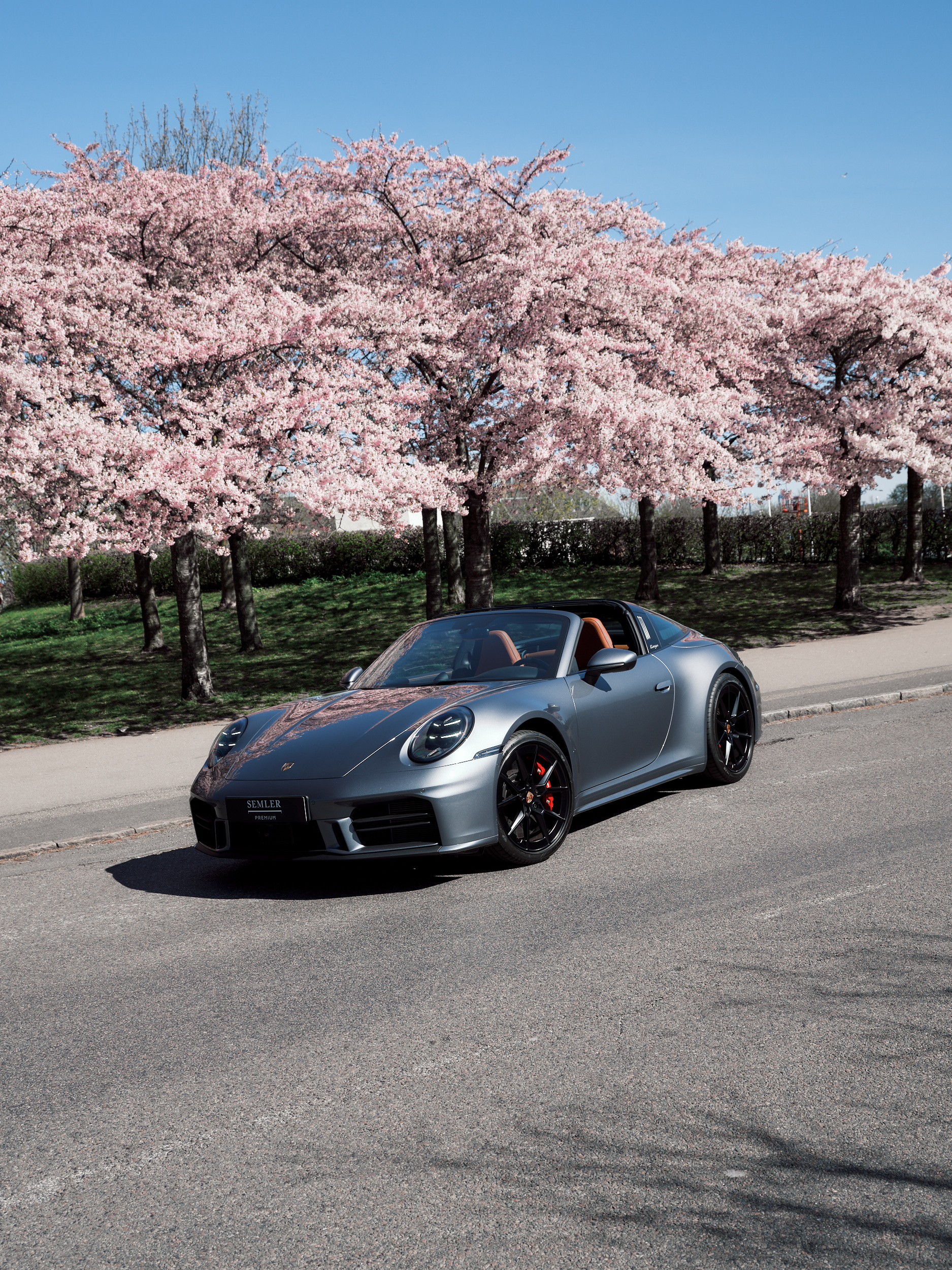 260421 Semler Porsche Targa Kirsebær Træer 19