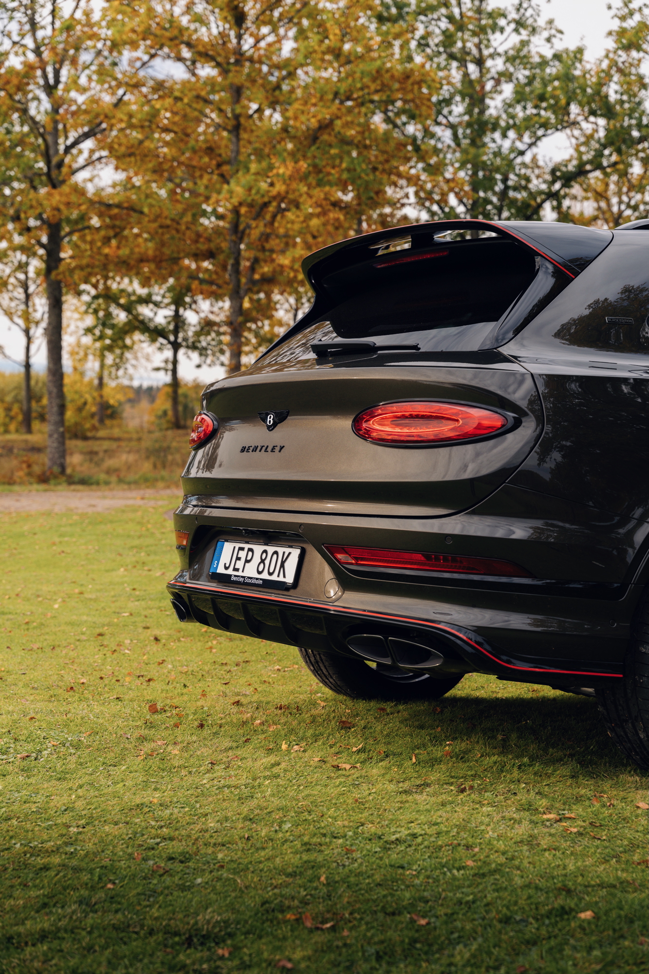 Gallery image 8 of 16