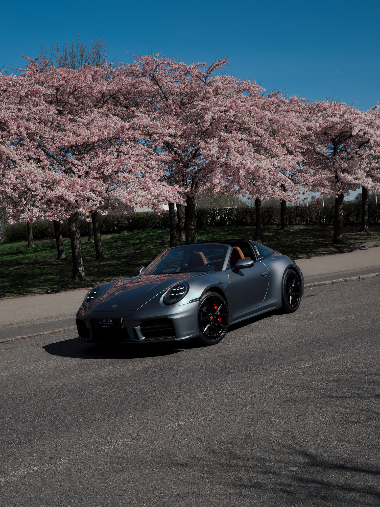 260421 Semler Porsche Targa Kirsebær Træer 19 2