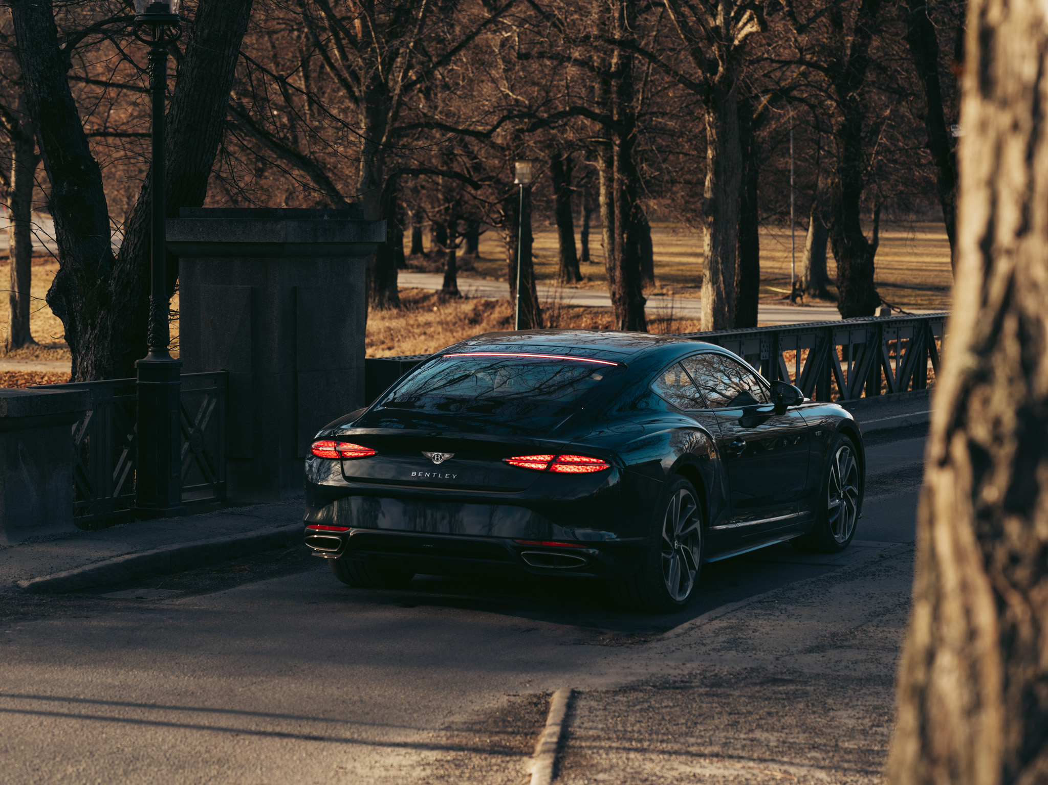 Gallery image 14 of 16