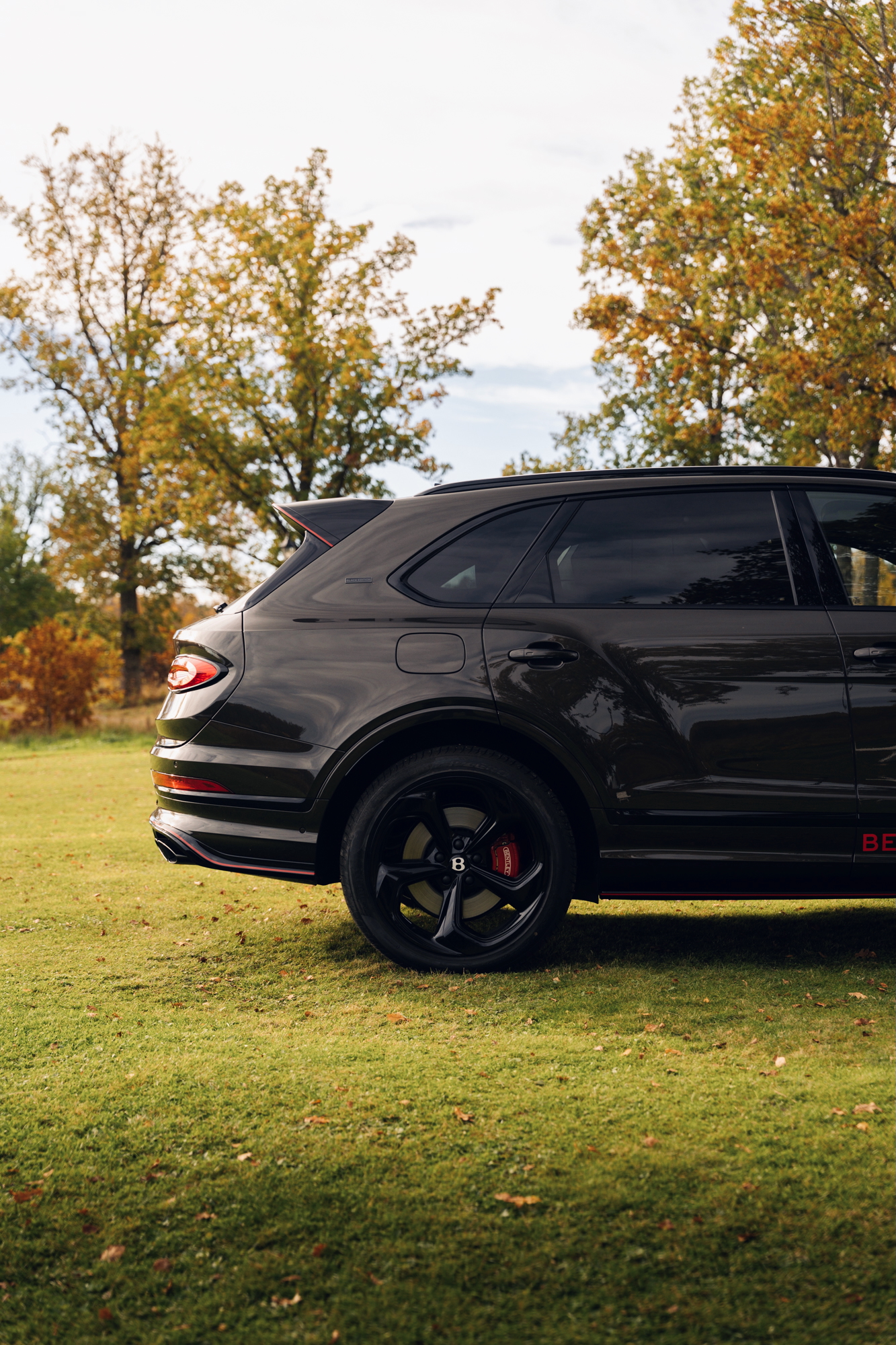 Gallery image 6 of 16