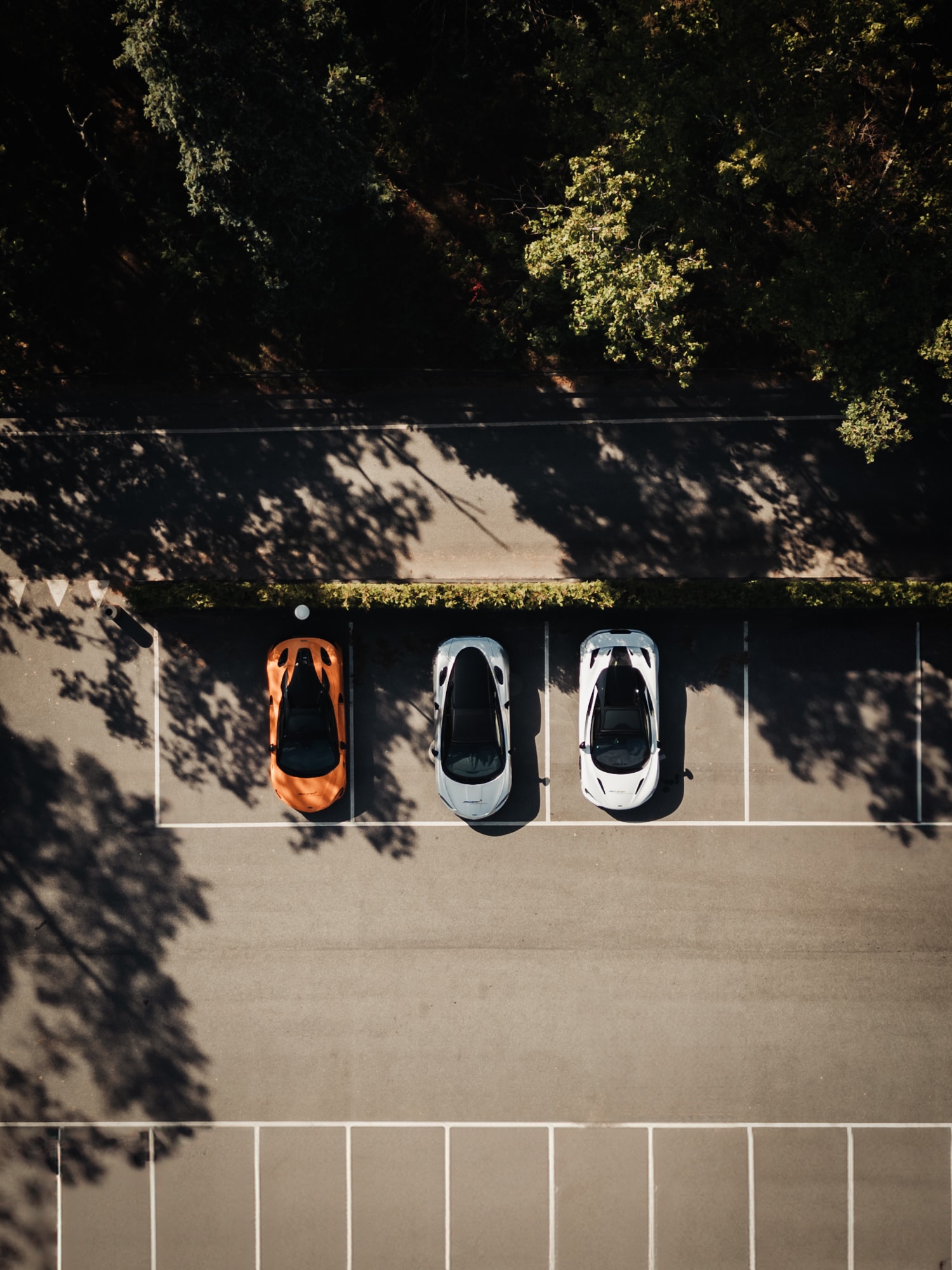 Gallery image 6 of 9