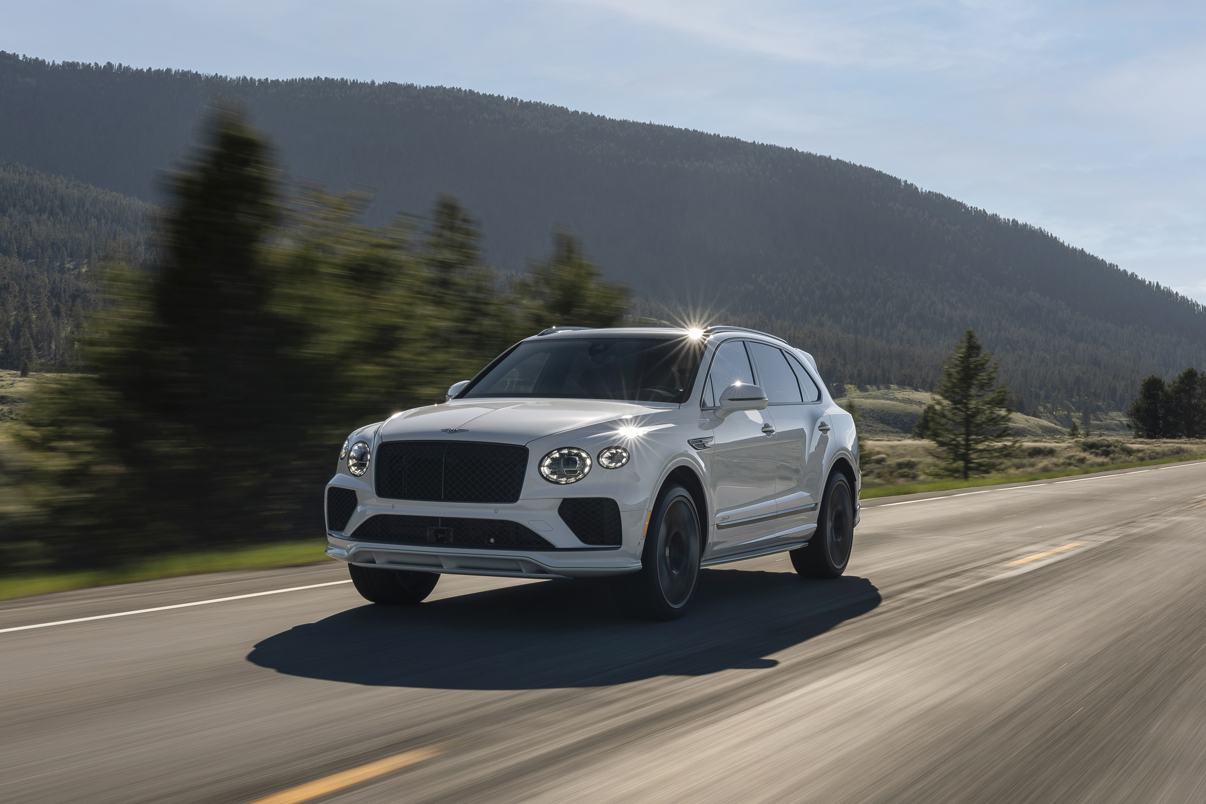 Gallery image 8 of 8