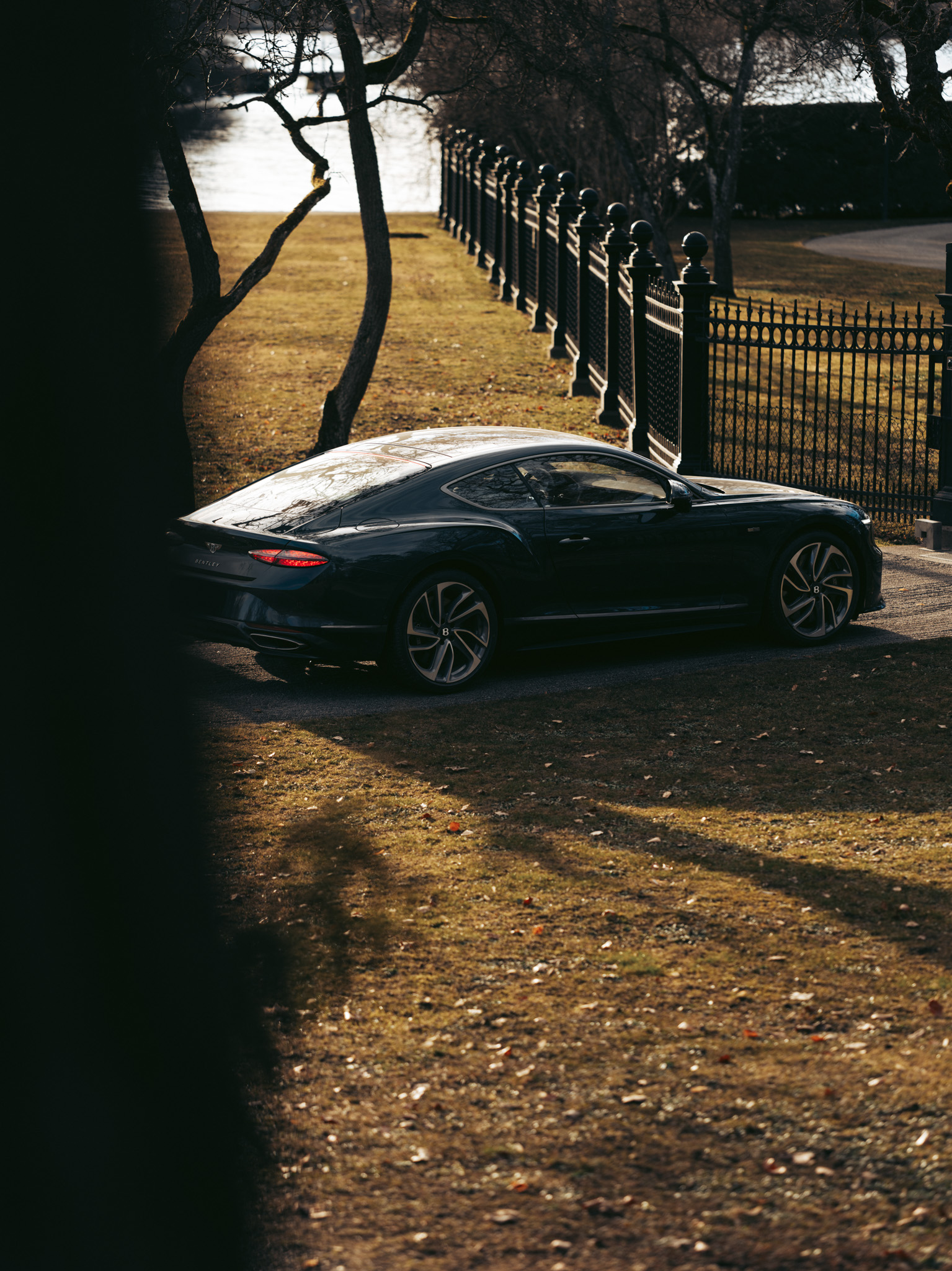 Gallery image 16 of 16