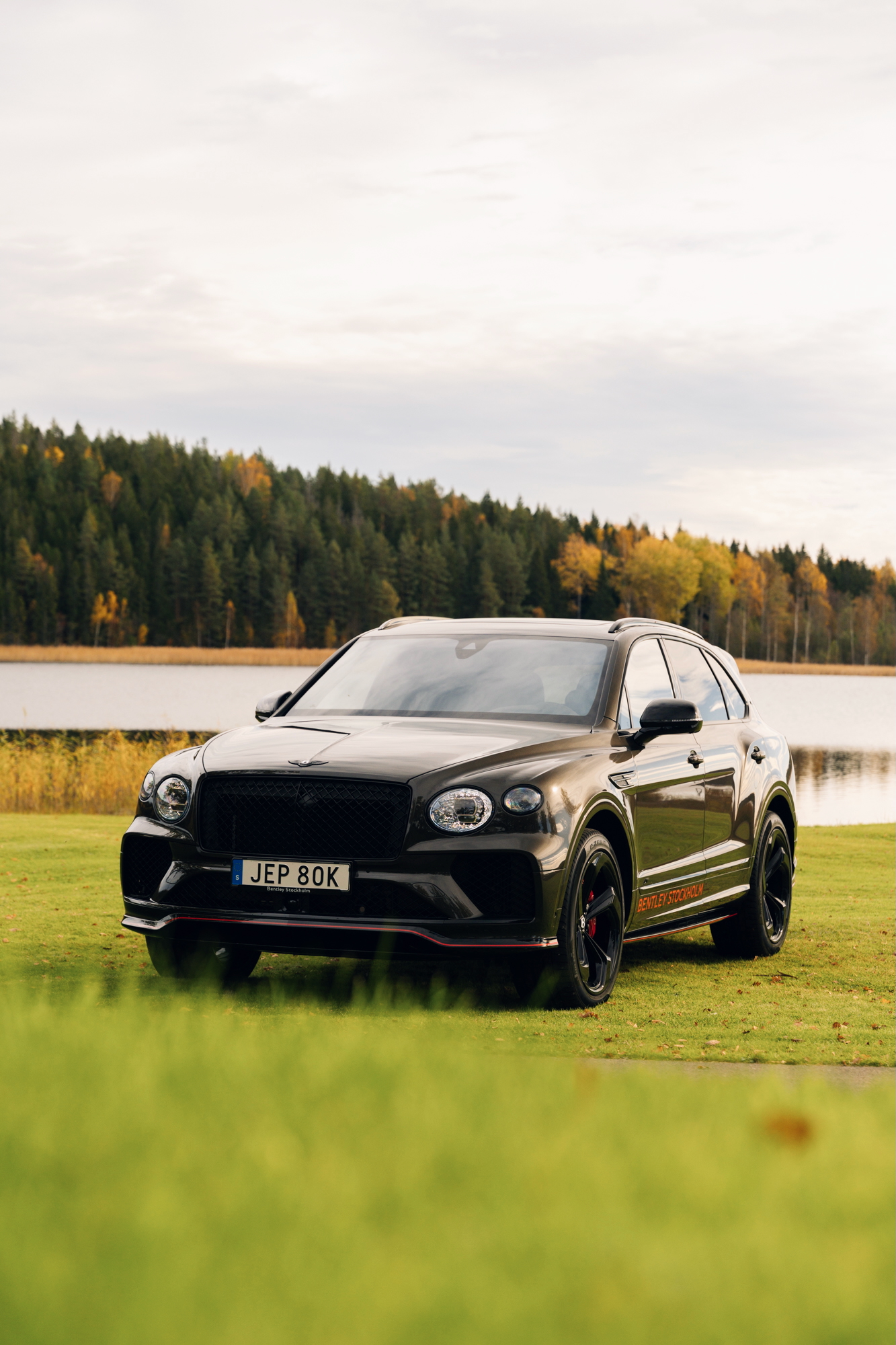 Gallery image 7 of 16