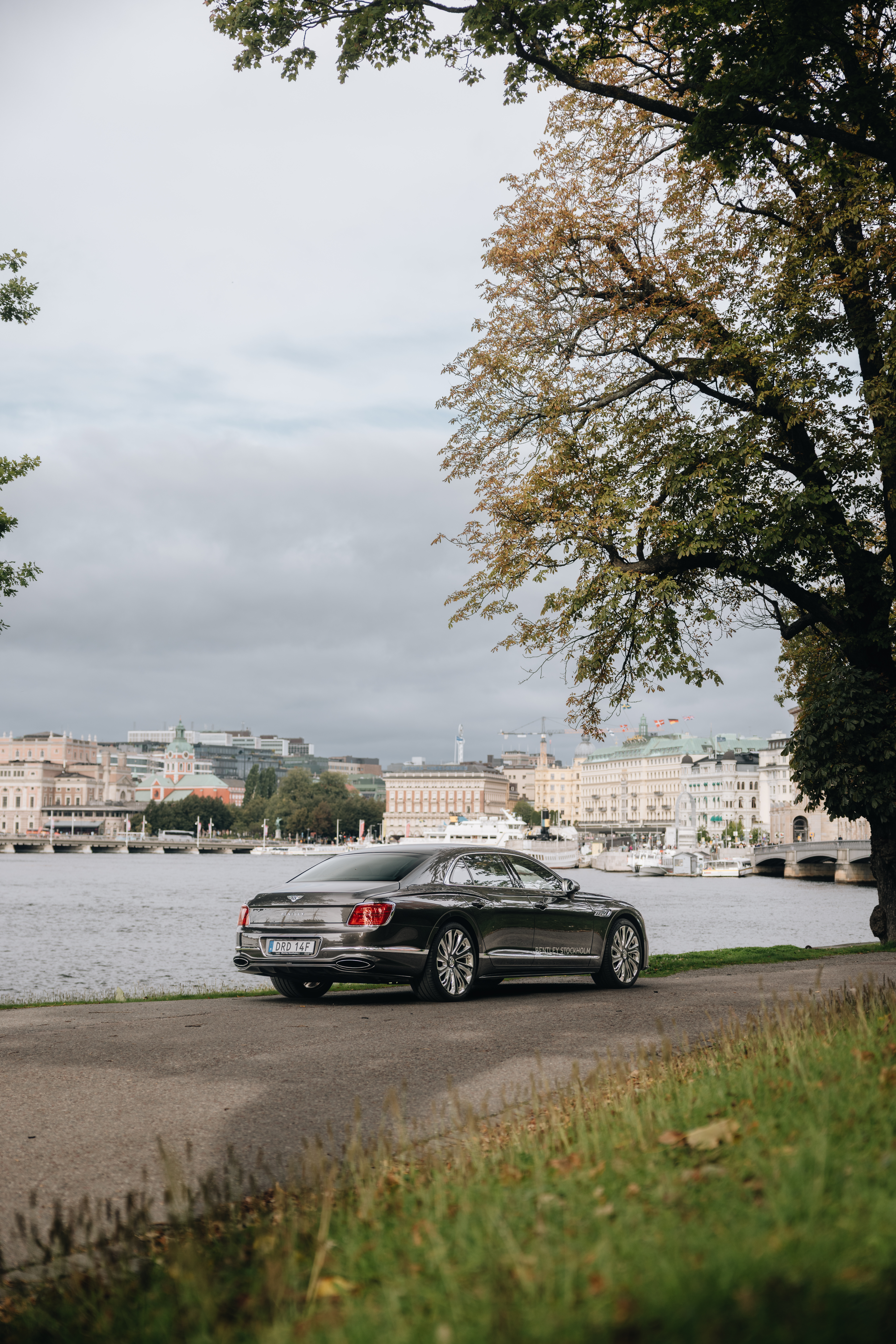 Gallery image 3 of 16